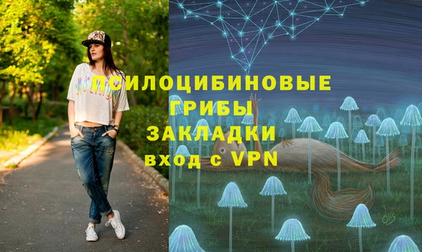 PSILOCYBIN Киреевск