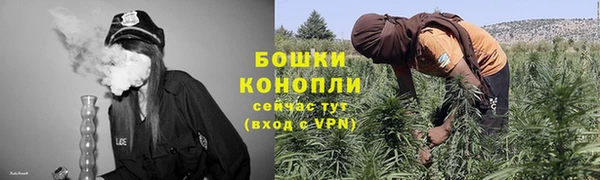PSILOCYBIN Киреевск